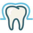 Dental,Dentist,Enamel,Enamel teeth,Medical,Protection,Tooth